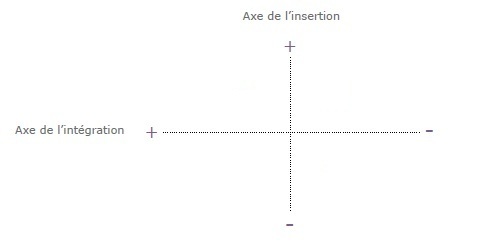 Schema